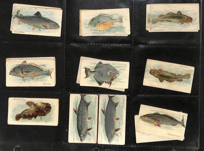 Lot of (109) Early 1900s Tobacco Non-Sport Cards - Various Subjects - Women, Places, Flags, Fish, Birds
